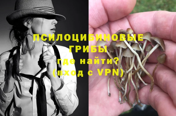 гидра Нея