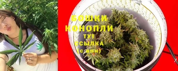 гидра Нея