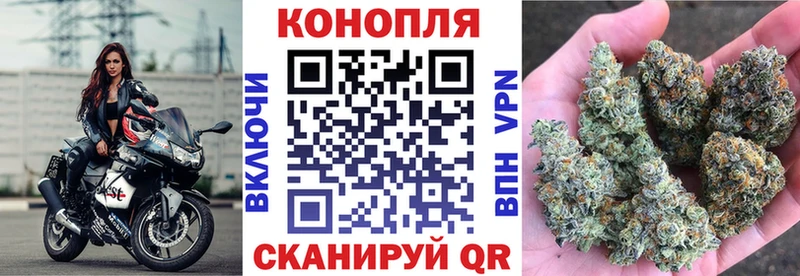 Купить  Чебаркуль  Шишки марихуана Amnesia 